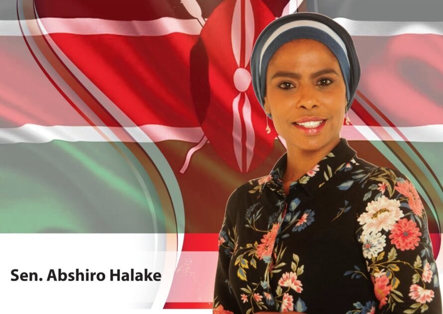 Hon. Abshiro Halake. She is seeking to have the deadline for filing 2019 KRA returns extended.