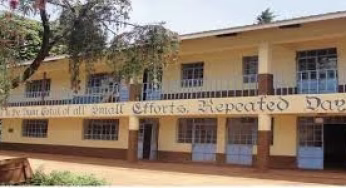 County Secondary Schools in Kirinyaga County; School KNEC Code, Type, Cluster, and Category