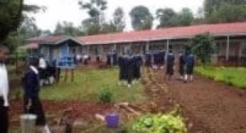 County Secondary Schools in Tharaka Nithi County; School KNEC Code, Type, Cluster, and Category