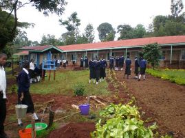 County Secondary Schools in Tharaka Nithi County; School KNEC Code, Type, Cluster, and Category