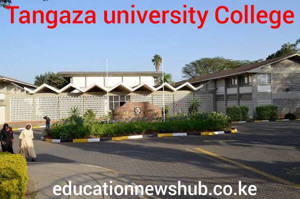 Tangaza University KUCCPS Approved Courses, Admissions, Intakes, Requirements, Students Portal, Location and Contacts