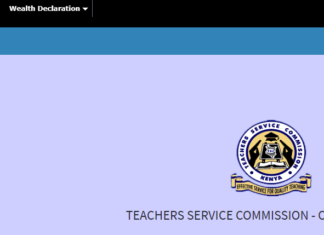 How to fill TSC Wealth Declaration form online 2019; Step by step guide: TSC News