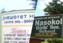 County Secondary Schools in West Pokot County; School KNEC Code, Type, Cluster, and Category