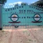 County Secondary Schools in Kericho County; School KNEC Code, Type, Cluster, and Category
