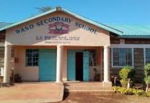 Sub County Secondary Schools in Isiolo County; School KNEC Code, Type, Cluster, and Category