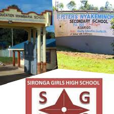 Sub County Secondary Schools in Nyamira County; School KNEC Code, Type, Cluster, and Category.