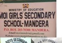 Sub County Secondary Schools in Manadera County; School KNEC Code, Type, Cluster, and Category.