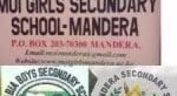 Sub County Secondary Schools in Manadera County; School KNEC Code, Type, Cluster, and Category.