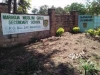 Extra County Secondary Schools in Busia County; School KNEC Code, Type, Cluster, and Category 2 St Mary's Mundika High Extra County Secondary School in Busia County; School KNEC Code, Type, Cluster, and Category