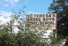 Sub County Secondary Schools in Trans Nzoia County; School KNEC Code, Type, Cluster, and Category