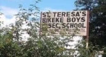 Sub County Secondary Schools in Trans Nzoia County; School KNEC Code, Type, Cluster, and Category