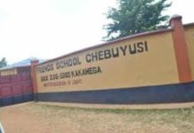Sub County Secondary Schools in Kakamega County; School KNEC Code, Type, Cluster, and Category