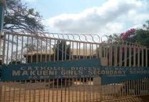 Makueni Girls Extra County Secondary School in Makueni County; School KNEC Code, Type, Cluster, and Category