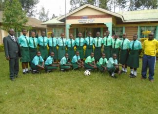 County Secondary Schools in Nyamira County; School KNEC Code, Type, Cluster, and Category