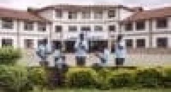 Light Academy; KCSE Performance, Location, History, Fees, Contacts, Portal Login, Postal Address, KNEC Code, Photos and Admissions