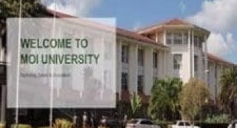Moi University Admission Letters for Students placed by KUCCPS for 2023/2024 Academic Year