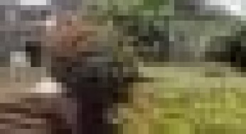 The Kenya High School, KHS; KCSE Performance, Location, History, Fees, Contacts, Portal Login, Postal Address, KNEC Code, Photos and Admissions