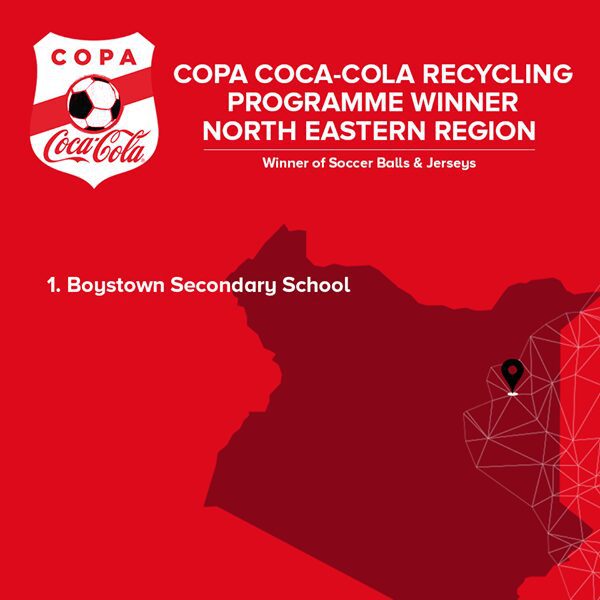 Winners of the 2019 Copa Coca Cola Recycling programme.