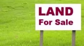 The process of successfully and safely buying land, plots, in Kenya; how to avoid conmen and free land sale agreement form