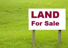 A piece of land for sale in Kenya.