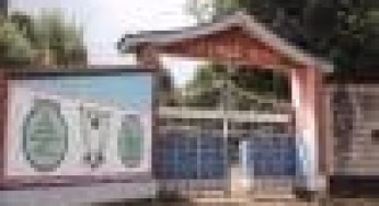 Chinga Boys High school KCSE 2023/2024 results