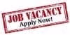 Ministry of education advertises 1,000 vacancies for ICT teachers 1 New job vacancy. Apply today!