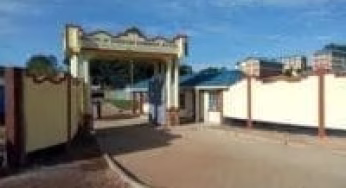 Nyambaraia High School KCSE 2020 results analysis, grade count and ranking