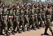 Kenya Defence Forces, KDF, officers.