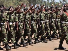 Kenya Defence Forces, KDF, officers.