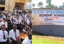 St Peters NyakeminSt Peters Nyakemincha Secondary School 2cha is one of the top performing secondary school; not only in Nyamira County but also nationally. This article provides complete information about this school. Get to know the school's physical location, directions, contacts, history, Form one selection criteria and analysis of its performance in the Kenya Certificate of Secondary Education, KCSE, exams. Get to see a beautiful collation of images from the school's scenery; including structures, signage, students, teachers and many more.  For all details about other schools in Kenya, please visit the link below; SCHOOLS' NEWS PORTAL NYAKEMINCHA SECONDARY SCHOOL'S PHYSICAL LOCATION St. Peter Nyakemincha Secondary School is located in Bonyamatuta location, Nyamira Division, Nyamira South Subcounty within Nyamira County; in the Nyanza Region of Kenya. It is a mixed day and boarding secondary school. NYAKEMINCHA SECONDARY SCHOOL'S INFO AT A GLANCE SCHOOL'S NAME: St Peters Nyakemincha Secondary School SCHOOL'S TYPE: Mixed Day and Boarding  SCHOOL'S CATEGORY: County School SCHOOL'S LEVEL: Secondary SCHOOL'S LOCATION: located in Bonyamatuta location, Nyamira Division, Nyamira South Subcounty within Nyamira County; in the Nyanza Region of Kenya.  SCHOOL'S KNEC CODE: SCHOOL'S OWNERSHIP STATUS: Public SCHOOL'S PHONE CONTACT:  0734754087 SCHOOL'S POSTAL ADDRESS: P.O. Box 137-40200, Kebirigo SCHOOL'S EMAIL ADDRESS: SCHOOL'S WEBSITE: NYAKEMINCHA SECONDARY SCHOOL'S BRIEF HISTORY FOR A COMPLETE GUIDE TO ALL SCHOOLS IN KENYA CLICK ON THE LINK BELOW; SCHOOLS' NEWS PORTAL Here are links to the most important news portals: KUCCPS News Portal TSC News Portal Universities and Colleges News Portal Helb News Portal KNEC News Portal KSSSA News Portal Schools News Portal Free Teaching Resources and Revision Materials NYAKEMINCHA SECONDARY SCHOOL'S VISION NYAKEMINCHA SECONDARY SCHOOL'S MISSION NYAKEMINCHA SECONDARY SCHOOL'S MOTTO NYAKEMINCHA SECONDARY SCHOOL'S CONTACTS In need of more information about the school? Worry not. Use any of the contacts below for inquiries and/ or clarifications: Postal Address: P.O. Box 137-40200, Kebirigo Email Contact: Phone Contact:  0734754087 NYAKEMINCHA SECONDARY SCHOOL'S FORM ONE SELECTION CRITERIA & ADMISSIONS Being a public school, form one admissions are done by the Ministry of Education. Vacancies are available on competitive basis. Those seeking admissions can though directly contact the school or pay a visit for further guidelines. NYAKEMINCHA SECONDARY SCHOOL'S KCSE PERFORMANCE ANALYSIS The school has maintained a good run in performance at the Kenya National Examinations Council, KNEC, exams. In the 2019 Kenya Certificate of Secondary Education, KCSE, examination, St Peters Nyakemincha secondary school continued to rule in Nyamira South; of Nyamira County. The school posted a mean of 7.81 (B- minus) up from 6.889; with a positive deviation of 0.92. A total of 211 out of the 262 candidates scored a mean grade of C+(plus) and above, hence, booking direct tickets to university; representing 80.53% of the candidates who sat  the examination. Also read; Best Performing Boys' Secondary schools per county Best performing mixed schools per county Best performing Girls' Secondary schools per county Full list of all top and best [performing Boys' Secondary schools per county Best performing County schools per county Best performing Extra County Schools per county  For all details about other schools in Kenya, please visit the link below; SCHOOLS' NEWS PORTAL NYAKEMINCHA SECONDARY SCHOOL'S PHOTO GALLERY Planning to pay the school a visit? Below are some of the lovely scenes you will experience. St Peters Nyakemincha Secondary School Also read: Moi Forces Academy, Lanet; KCSE results, location, Fees, Admissions and many more Karima Girls High School; KCSE results, contacts, admissions, Location, Fees and other details Friends School Kamusinga; KCSE results, contacts, admissions, Location, Fees and other details Bunyore Girls High School; KCSE results, contacts, admissions, Location, Fees and other details Kereri  Girls High School; KCSE results, contacts, admissions, Location, Fees and other details Maranda  High School; KCSE results, contacts, admissions, Location, Fees and other details Kisii  High School; KCSE results, contacts, admissions, Location, Fees and other details St Mary’s Yala School; KCSE results, contacts, admissions, Location, Fees and other details Buru Buru Girls High School; KCSE results, contacts, admissions, Location, Fees and other details St Mary’s  Girls High School, Igoji; KCSE results, contacts, admissions, Location, Fees and other details Kapsabet Girls High School:  KCSE results, contacts, admissions, Location, Fees and other details Naivasha  Girls High School:  KCSE results, contacts, admissions, Location, Fees and other details Upper Hill Boys High School:  KCSE results, contacts, admissions, Location, Fees and other details Kisumu Girls  High School:  KCSE results, contacts, admissions, Location, Fees and other details Nyeri  High School:  KCSE results, contacts, admissions, Location, Fees and other details