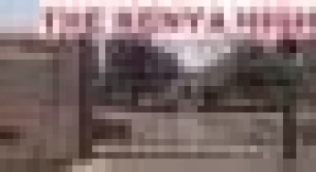 KCSE 2020 results- Top 100 schools in terms of straight A’s