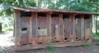Kandara MP’s fury after photo of dilapidated latrines at Kariguini primary school is leaked
