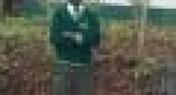 Goseta Boys High School all details, KCSE Results Analysis, Contacts, Location, Admissions, History, Fees, Portal Login, Website, KNEC Code