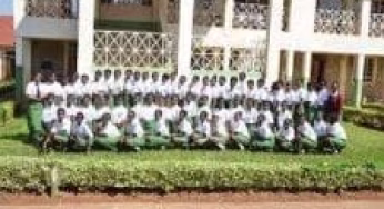 Loreto Girls High School, Matunda; details, KCSE Results Analysis, Contacts, Location, Admissions, History, Fees, Portal Login, Website, KNEC Code