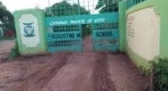 Mwingi High School all details, KCSE Results Analysis, Contacts, Location, Admissions, History, Fees, Portal Login, Website, KNEC Code