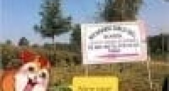 Ng’araria Girls High School KCSE Results KNEC Code, Admissions, Location, Contacts, Fees, Students’ Uniform, History, Directions and KCSE Overall School Grade Count Summary