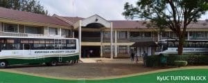 Kirinyaga University (KYU) Student admission letter and KUCCPS pdf list download.