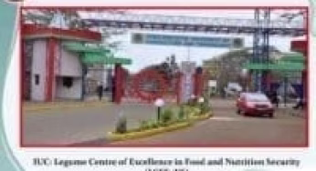 How to download 2023/2024 Admission letter to Jomo Kenyatta University of Agriculture and Technology (JKUAT); 2023/2024 KUCCPS Admission list pdf