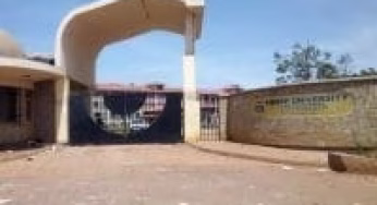 How to download 2023/2024 Admission letter to Kibabii University; KUCCPS Admission list pdf