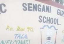 Sengani Girls High School