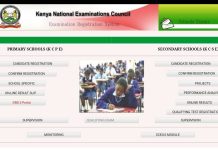 2021 KCSE project marks- Milestone 1 and 2.