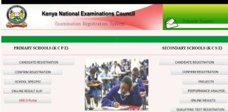 2021 KCSE project marks- Milestone 1 and 2.