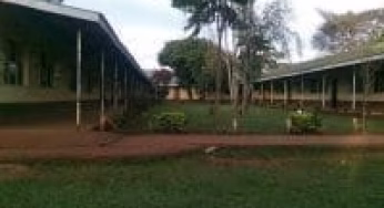 St. Ann’s Musoli Girls High School’s KCSE Results, KNEC Code, Admissions, Location, Contacts, Fees, Students’ Uniform, History, Directions and KCSE Overall School Grade Count Summary