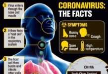 Corona Virus; Covid-19