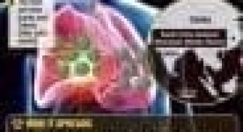 Here is a list of African Countries with Corona Virus