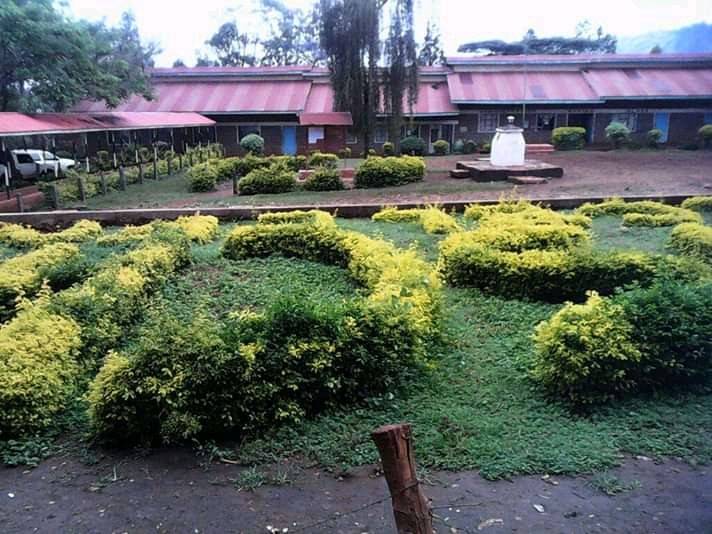 Kanyakine High school; full details, KCSE Results Analysis, Contacts, Location, Admissions, History, Fees, Portal Login, Website, KNEC Code