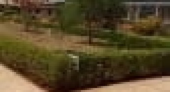 Gikurune Boys Secondary School; full details, KCSE Results Analysis, Contacts, Location, Admissions, History, Fees, Portal Login, Website, KNEC Code