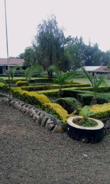 Kipkeikei Boys High School; full details, KCSE  Analysis, Contacts, Location, Admissions, History, Fees, Portal Login, Website, KNEC Code