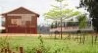 Mukaa Boys High School; full details, KCSE Results Analysis, Contacts, Location, Admissions, History, Fees, Portal Login, Website, KNEC Code