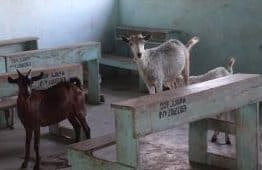 Teachers' pay: Government warned against any attempt to slash teachers' salaries 1 Deserted classrooms. Schools continue to remain deserted as covid-19 pandemic bites hard.